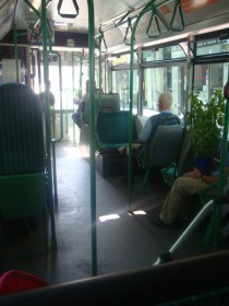日曜日のバスの中。　バジルの鉢植えをもったおじさんがいる。