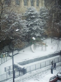 いつもの公園も雪が積もっています。